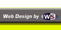 Web Site Design and Hosting by Web Services, Inc.